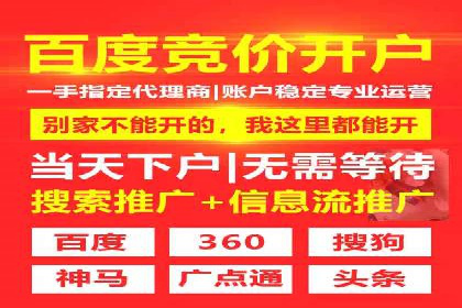 某电商企业如何利用百度搜索推广提升销售额